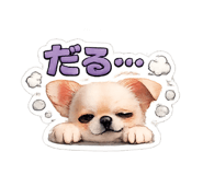 845535427