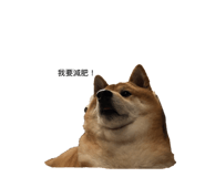 845535593