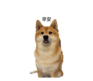 845535595
