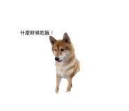 845535596