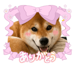 845535611
