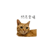845535658