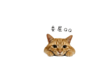 845535667