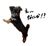 845535683