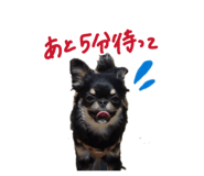 845535686