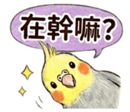 845535794