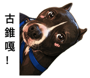 845535881