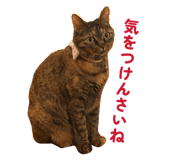 845535897