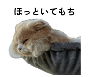 845536082