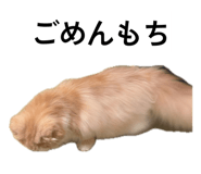 845536083