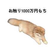 845536084