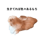 845536085