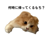 845536087