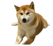 845536281