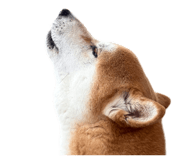 845536282