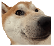 845536283