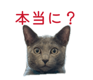845536795
