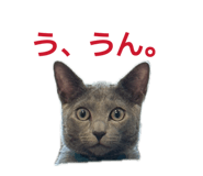 845536797