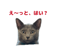 845536798
