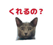 845536799