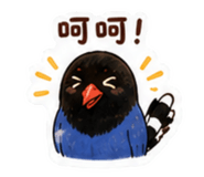 845537053