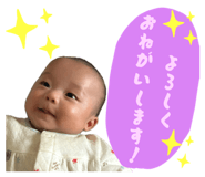 845537060