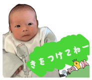 845537064