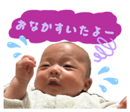 845537070
