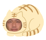 845537742