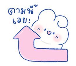 Parfait the rabbit 4 13