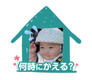 845539613