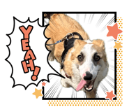 845539635