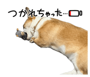 845539636