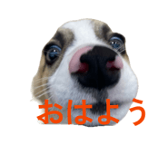 845539637