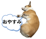 845539640