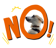 845539642