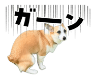 845539643