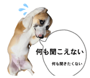 845539647