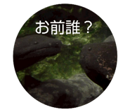 845539656