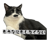 845539684