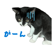 845539686