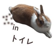 845539996