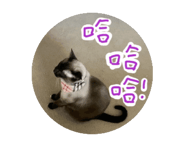 845540185