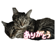845540301