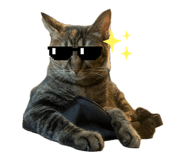 845540308