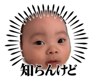 845540348