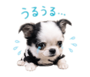 845541490