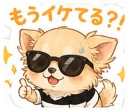 845541508