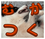 845541861