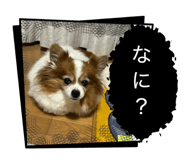 845541944